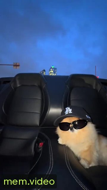 Кадр на 0:01