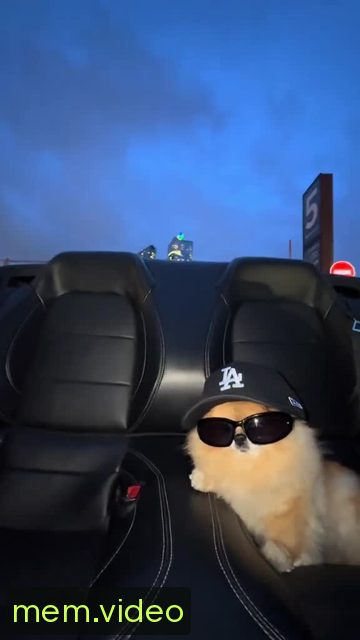 Кадр на 0:02