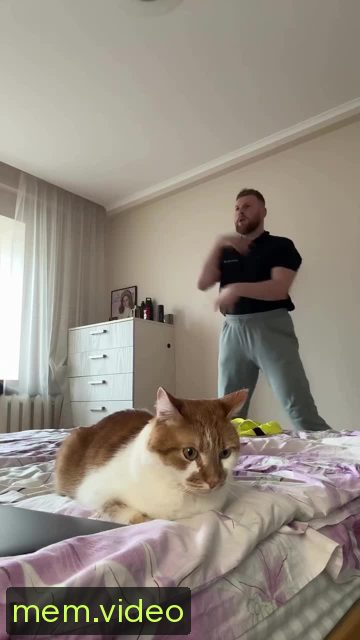 Кадр на 0:00