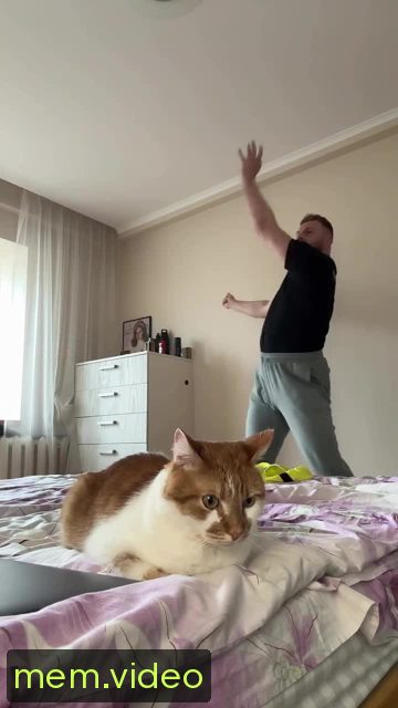 Кадр на 0:01
