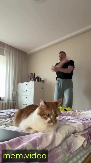 Кадр на 0:06