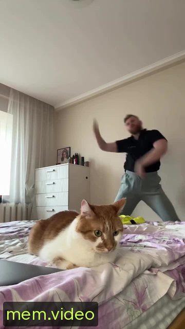 Кадр на 0:07