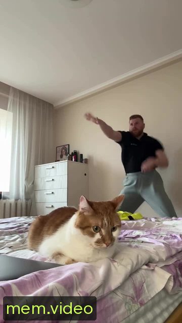 Кадр на 0:09