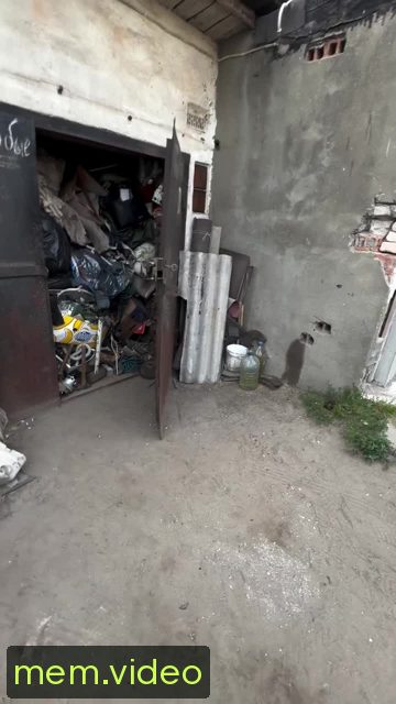 Кадр на 0:00