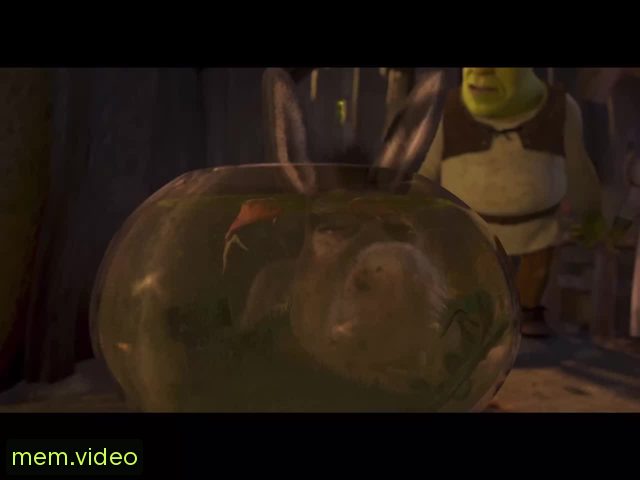 Кадр на 0:00