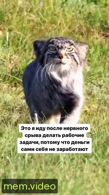 Кадр на 0:01