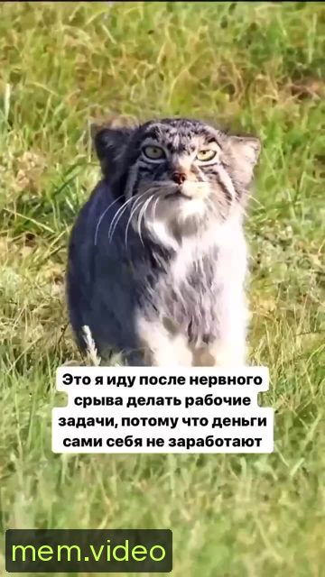 Кадр на 0:01