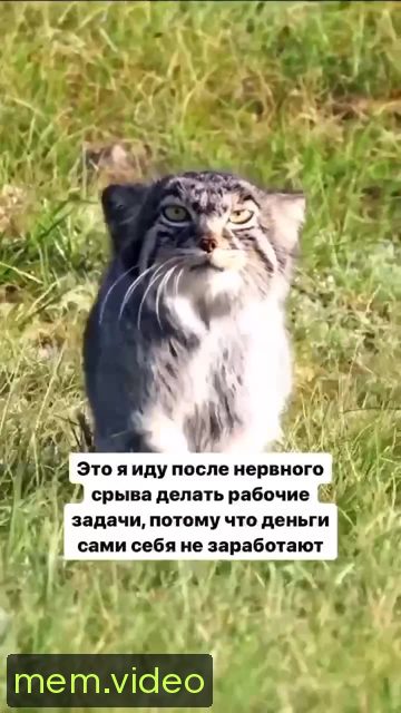Кадр на 0:02