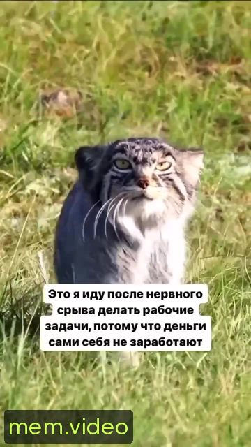 Кадр на 0:02