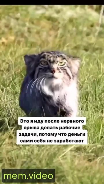 Кадр на 0:04