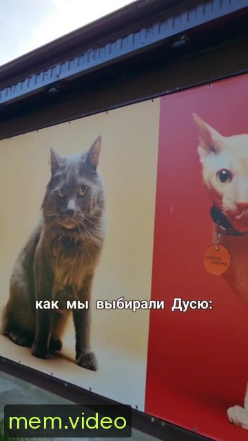 Кадр на 0:01