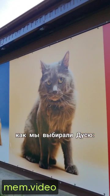 Кадр на 0:02