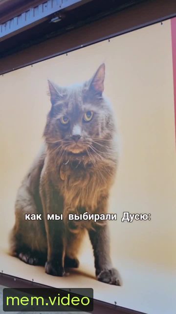 Кадр на 0:03