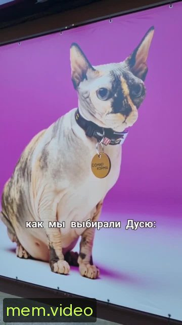 Кадр на 0:04
