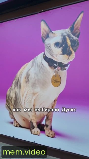 Кадр на 0:05