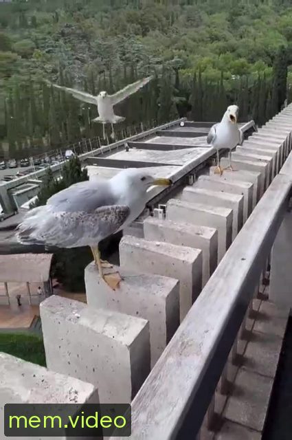 Кадр на 0:07
