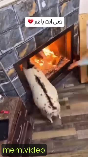 Кадр на 0:03