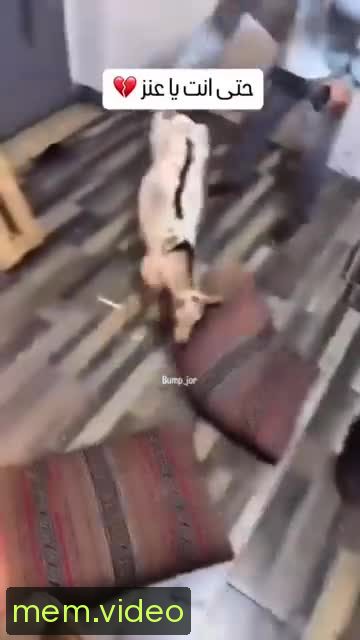 Кадр на 0:07