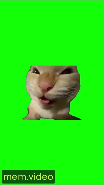 Кадр на 0:00
