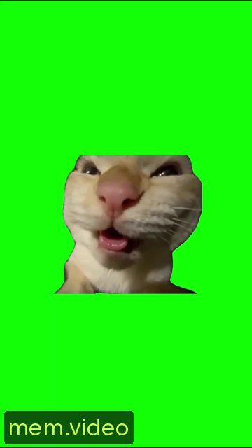 Кадр на 0:00