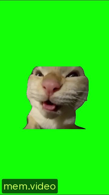 Кадр на 0:01