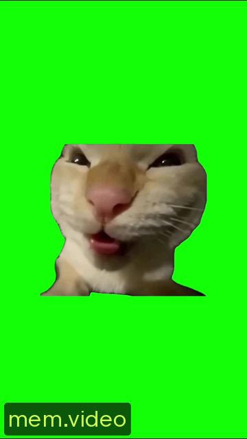 Кадр на 0:03