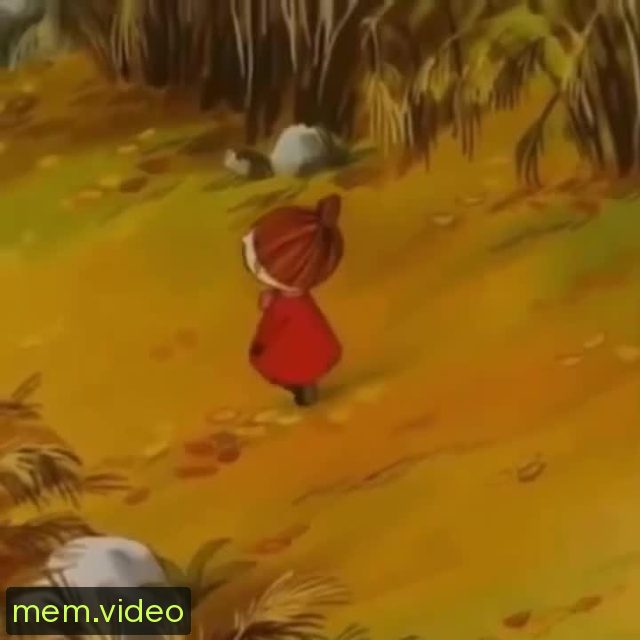 Кадр на 0:00