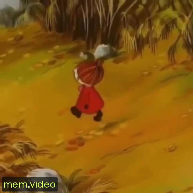 Кадр на 0:00