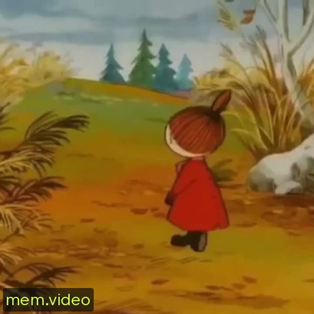 Кадр на 0:00