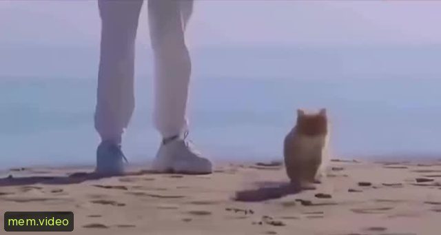 Кадр на 0:04