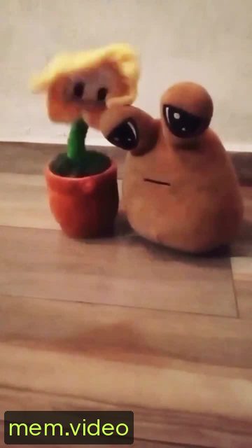 Кадр на 0:00