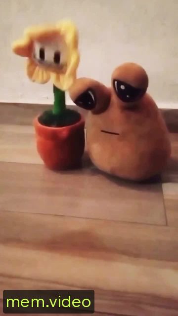 Кадр на 0:02