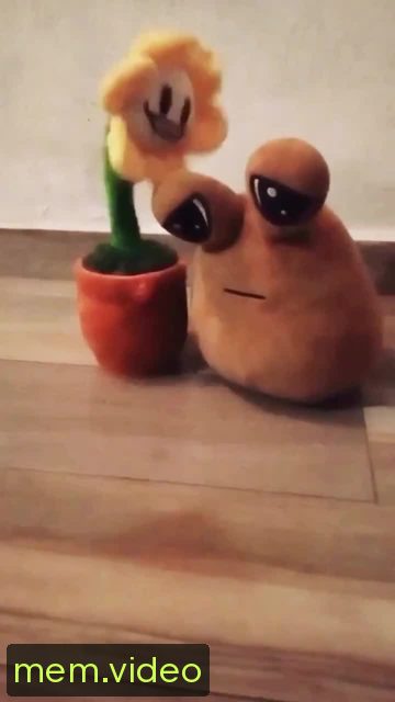 Кадр на 0:03