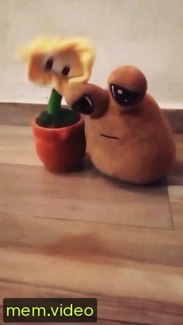 Кадр на 0:05
