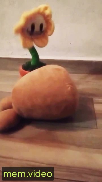 Кадр на 0:07