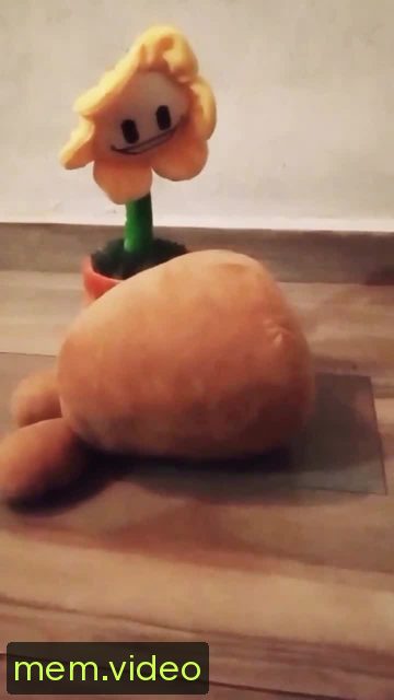 Кадр на 0:08
