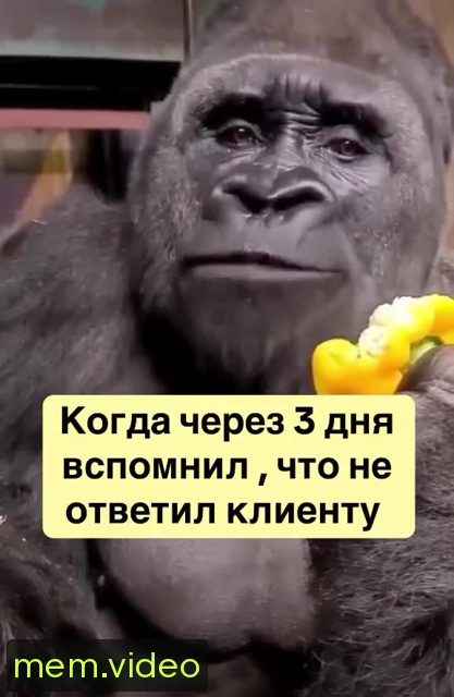 Кадр на 0:00