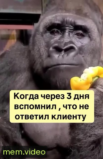 Кадр на 0:00