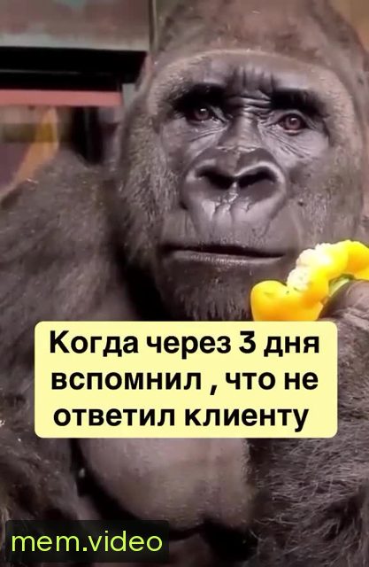 Кадр на 0:01