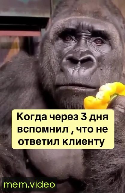 Кадр на 0:02