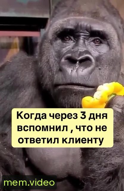 Кадр на 0:03