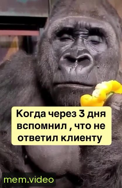 Кадр на 0:03