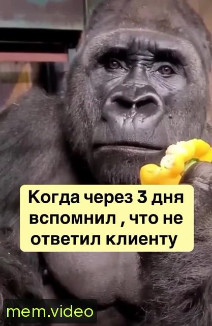 Кадр на 0:04