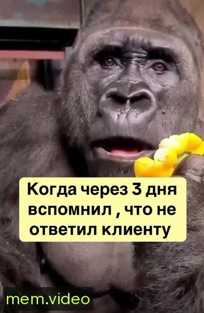 Кадр на 0:05