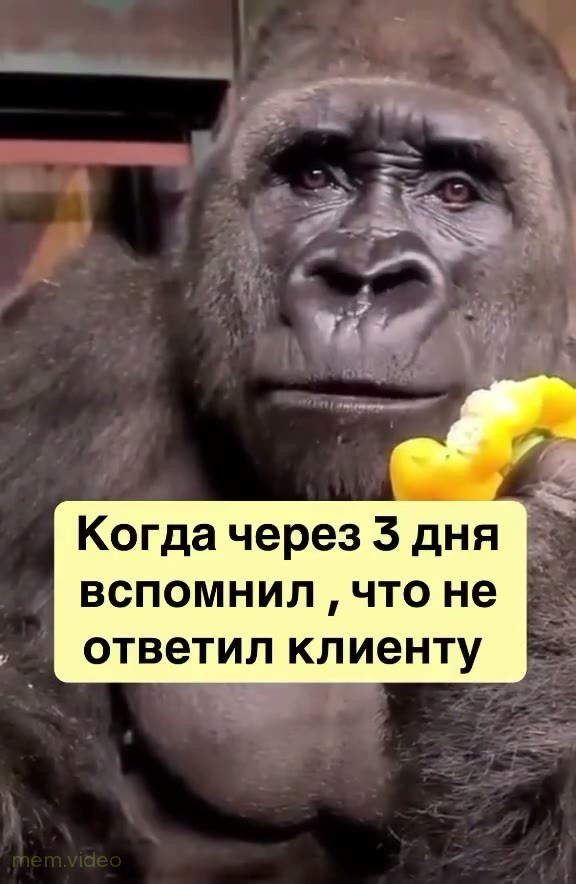 Кадр: Обезьяна ест перец и испуганно смотрит