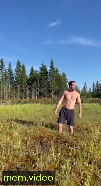 Кадр на 0:00