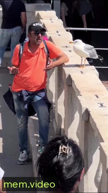 Кадр на 0:02
