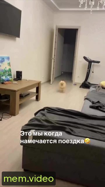 Кадр на 0:00