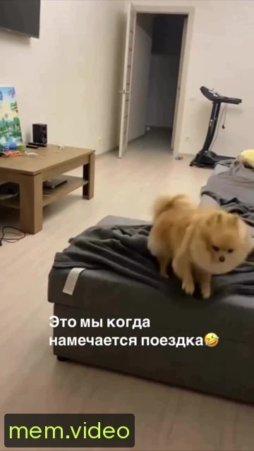 Кадр на 0:01