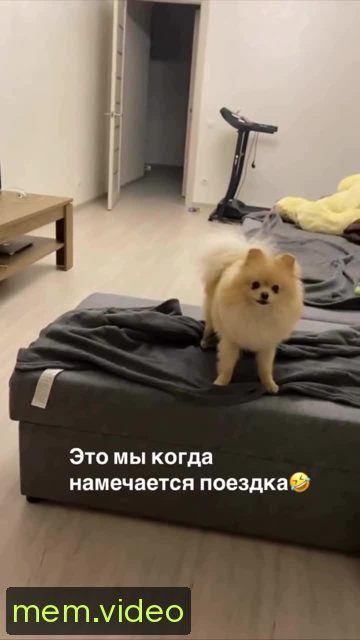 Кадр на 0:02